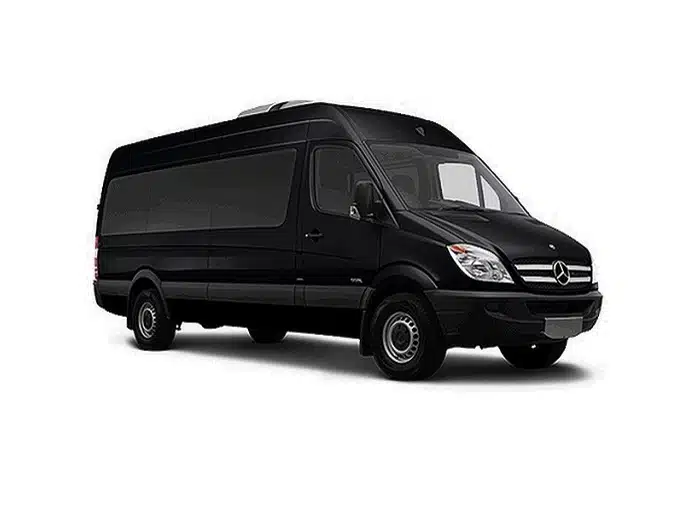 Mercedes Sprinter Limo 2020